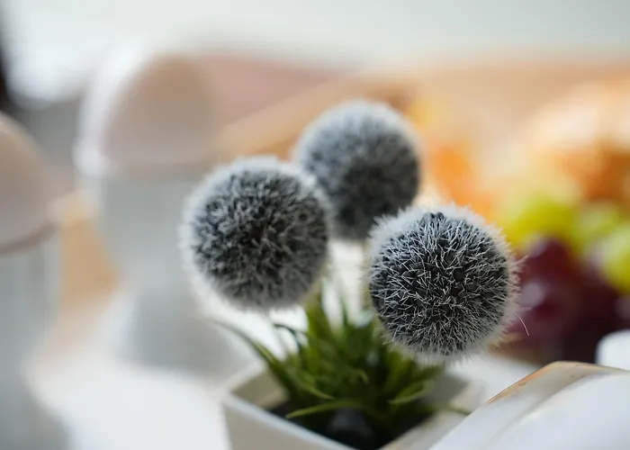 Attaché An Der Messe Hotel Francoforte sul Meno