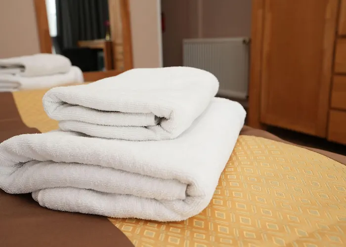 Hotel Attaché An Der Messe