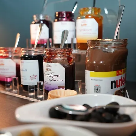 아타체 안 데르 메세 3* 프랑크푸르트