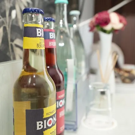 梅斯阿塔赫尔酒店 酒店