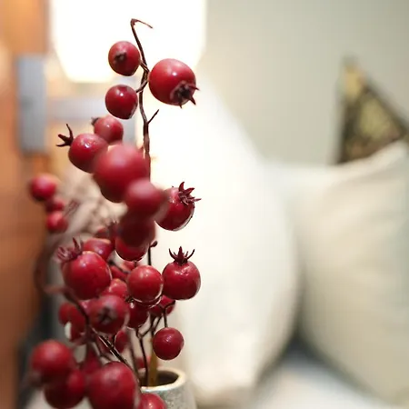 아타체 안 데르 메세 호텔 3*