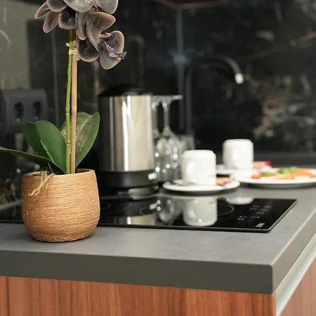 酒店 梅斯阿塔赫尔酒店 3*