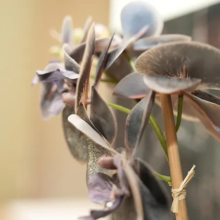 호텔 아타체 안 데르 메세 3*