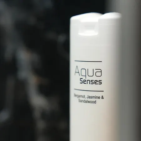 호텔 아타체 안 데르 메세 프랑크푸르트