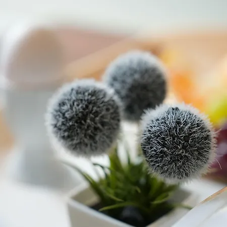 아타체 안 데르 메세 호텔 프랑크푸르트