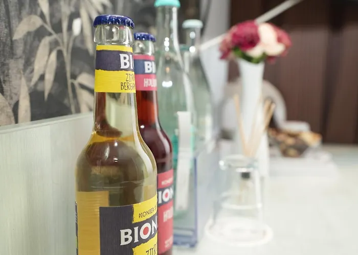 アタッシェ アン デア メッセ ホテル