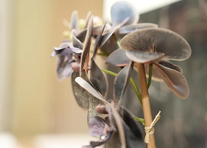 호텔 아타체 안 데르 메세 3*