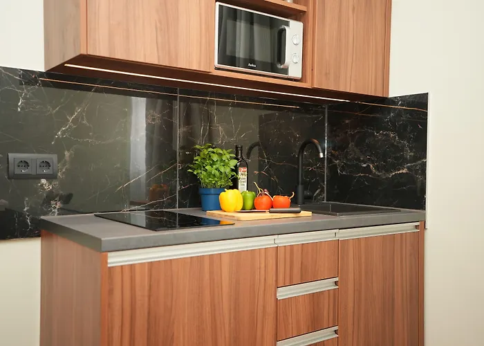 アタッシェ アン デア メッセ ホテル 3*